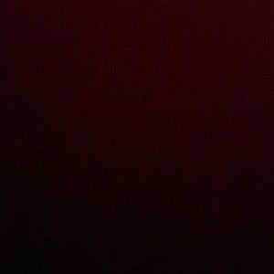 Meet your Posher, Zamia